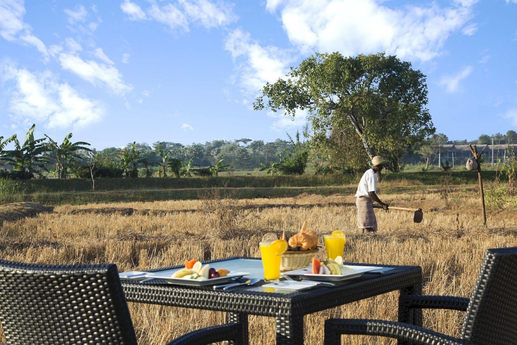 Aliya Resort And Spa - Thema Collection Sigiriya Exterior photo